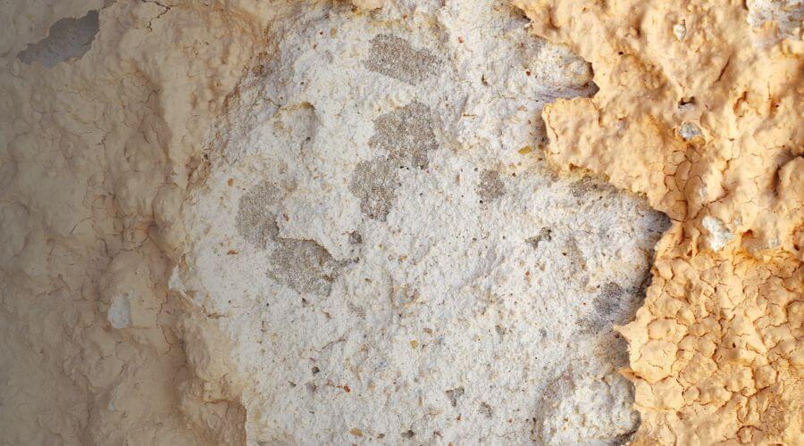 Why choose water damage restoration service for basement flood restoration services in Cleveland